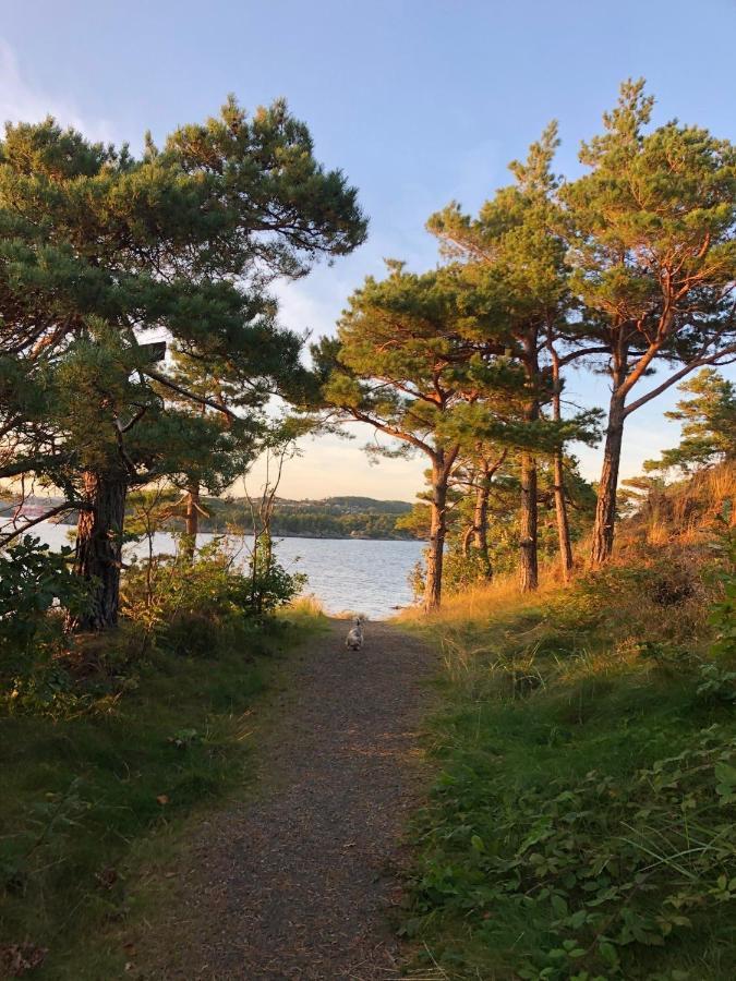 Апартаменты Sjonaer Idyll Кристиансанд Экстерьер фото